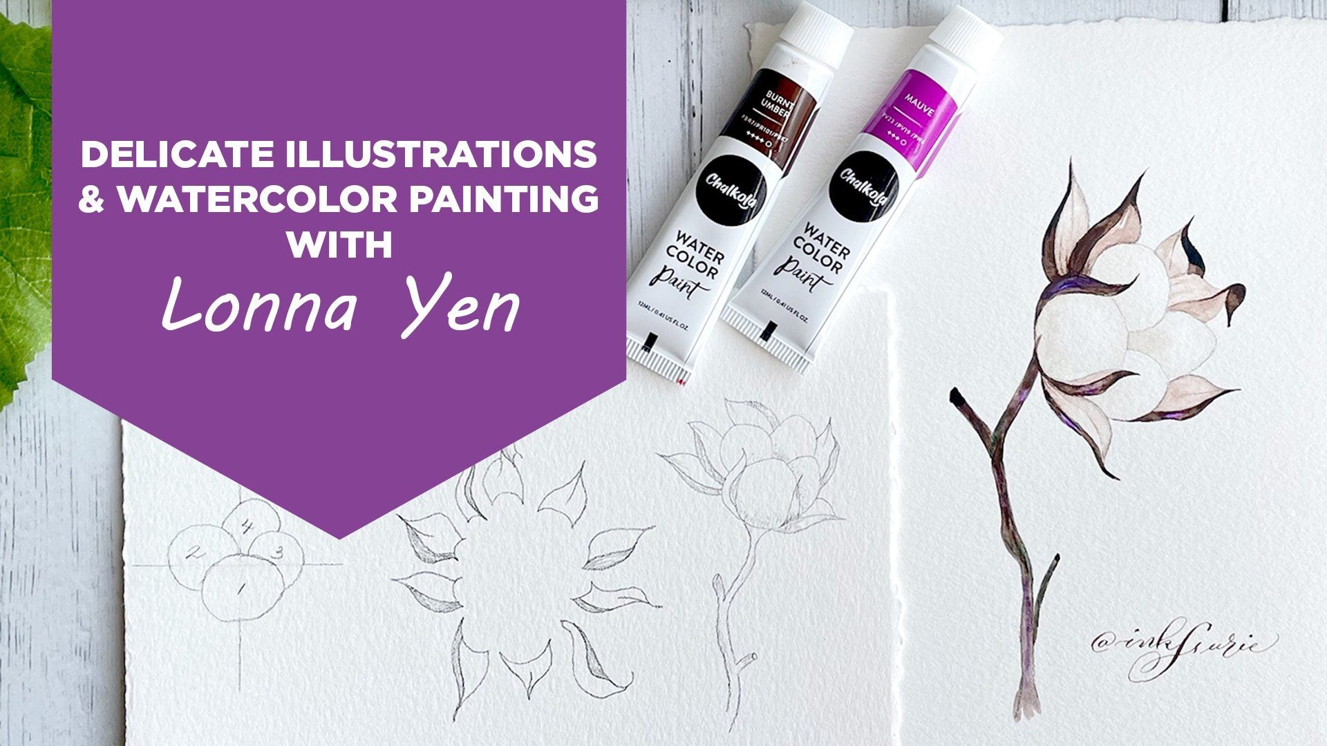 Delicate Illustrations and Watercolor Painting with Lonna Yen