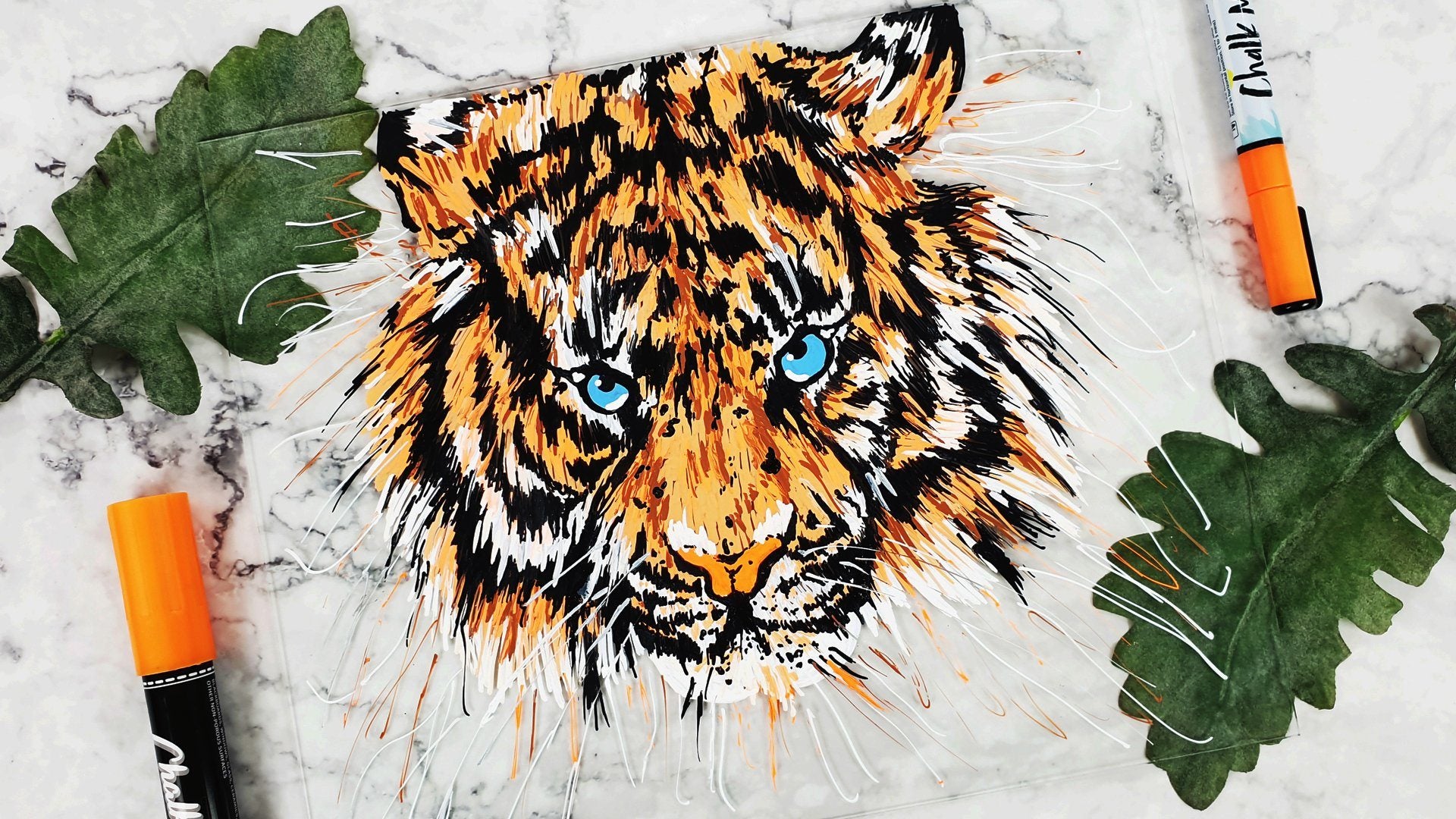 Draw a Tiger on Glass Using Chalk Markers | Chalkola Art Supply