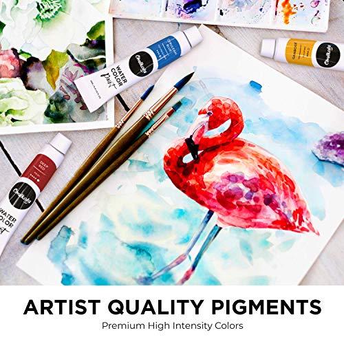 5 Reasons to Buy Watercolor Brush Pens - Chalkola - Chalkola Art Supply